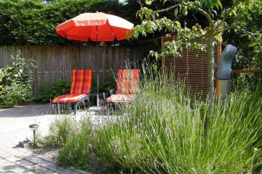 Studio Bed & Strand Scharendijke Esterno foto